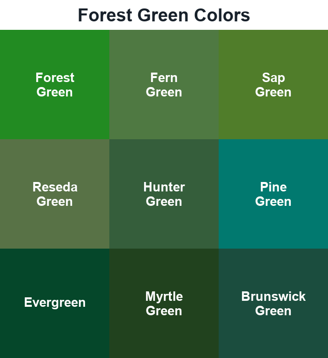 Forest Green Colors