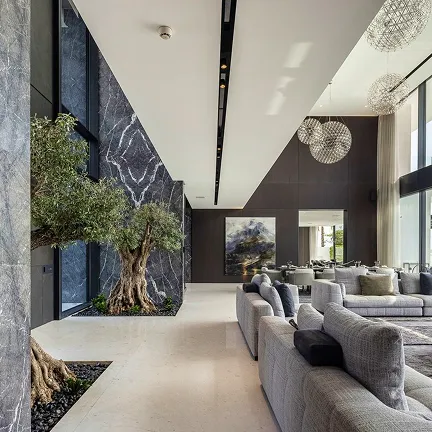 Spacious living area in a luxury villa featuring indoor trees