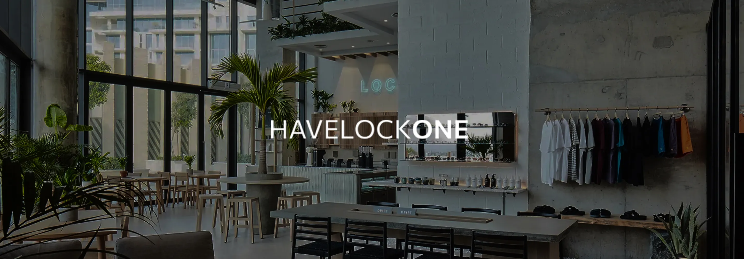 Open-plan layout with biophilic design elements in Dubai by a top interior fit out company.