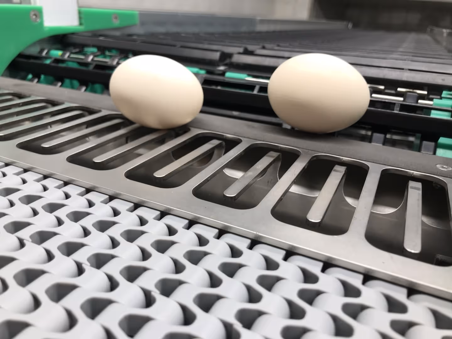 Twee witte eieren op een transportband met metalen gleuven in een eierverwerkingslijn.