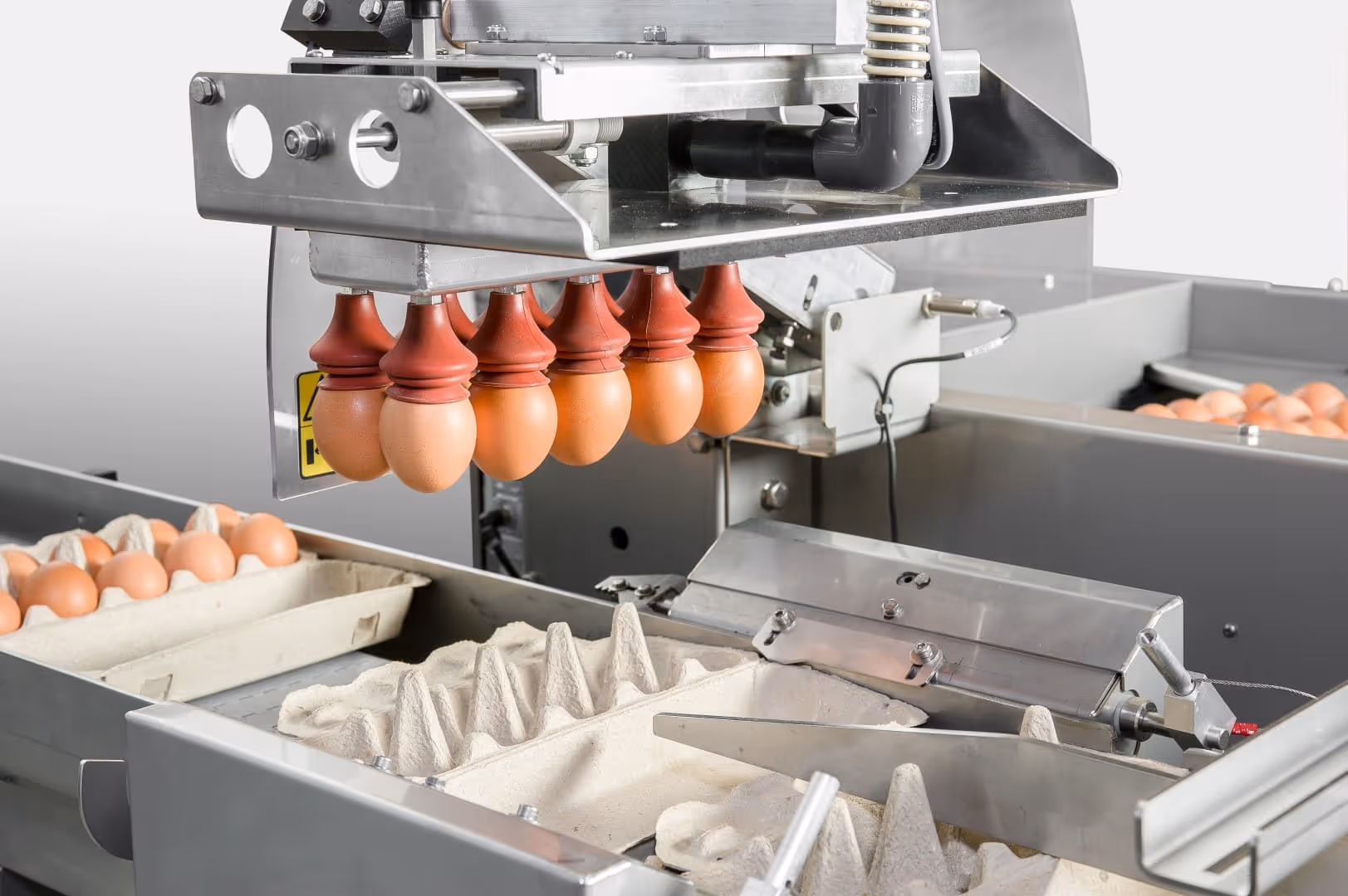 Het oppakken en plaatsen van eieren in kartonnen trays op een eierverwerkingslijn.