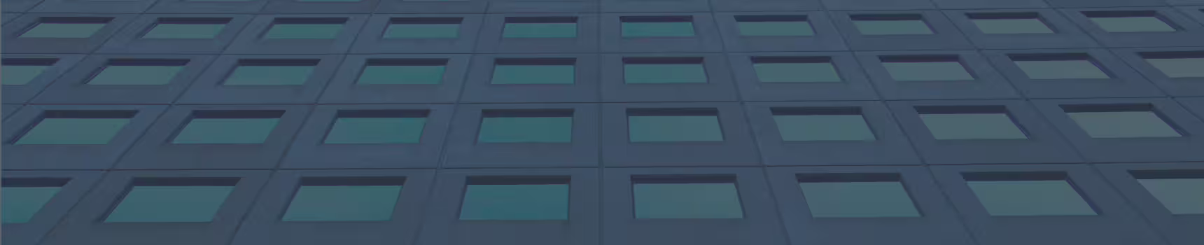 En-tête de la page actualités Noralsy