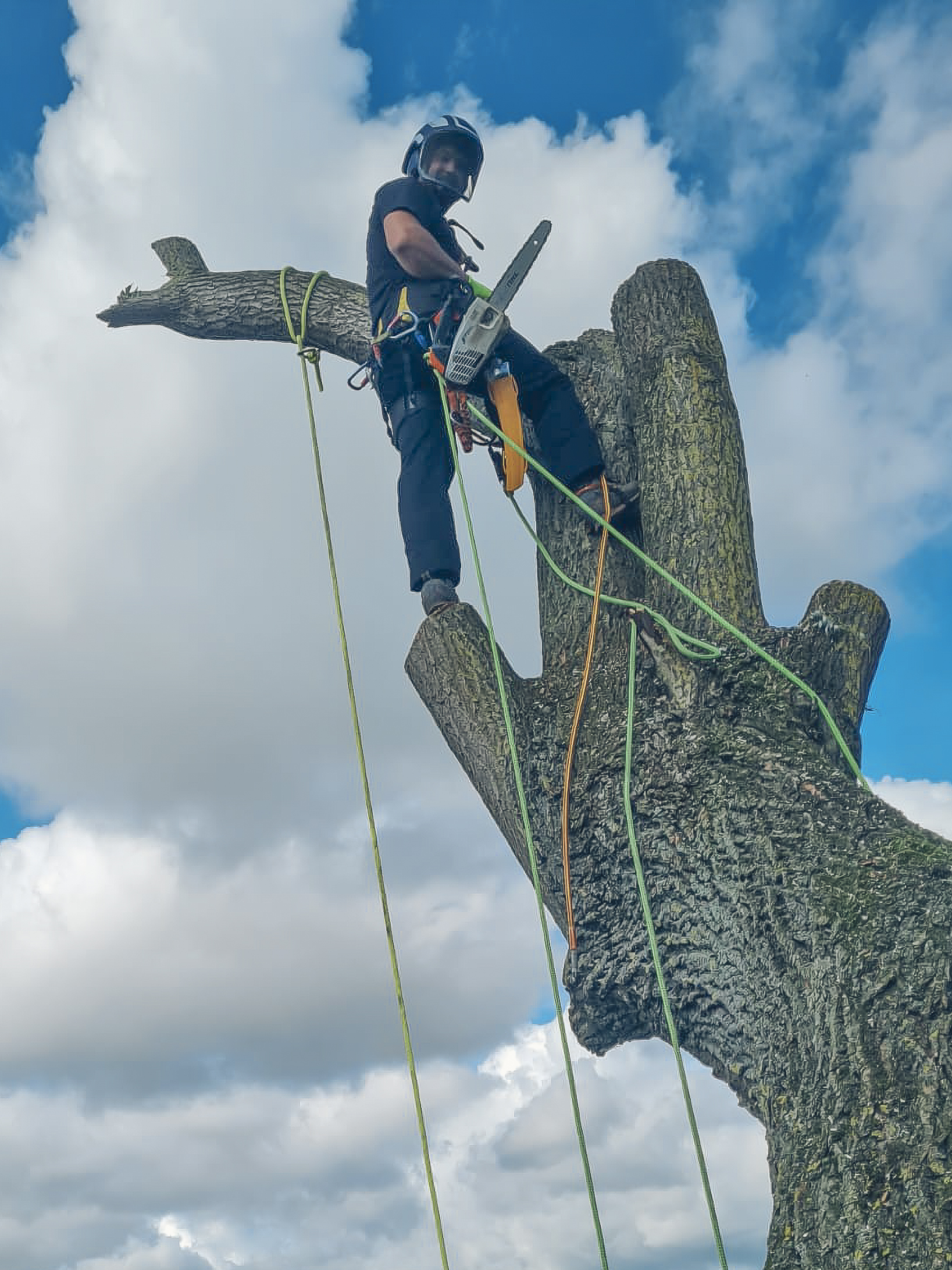 Baumkletterer auf Baumstumpf mit dem Blick nach unten