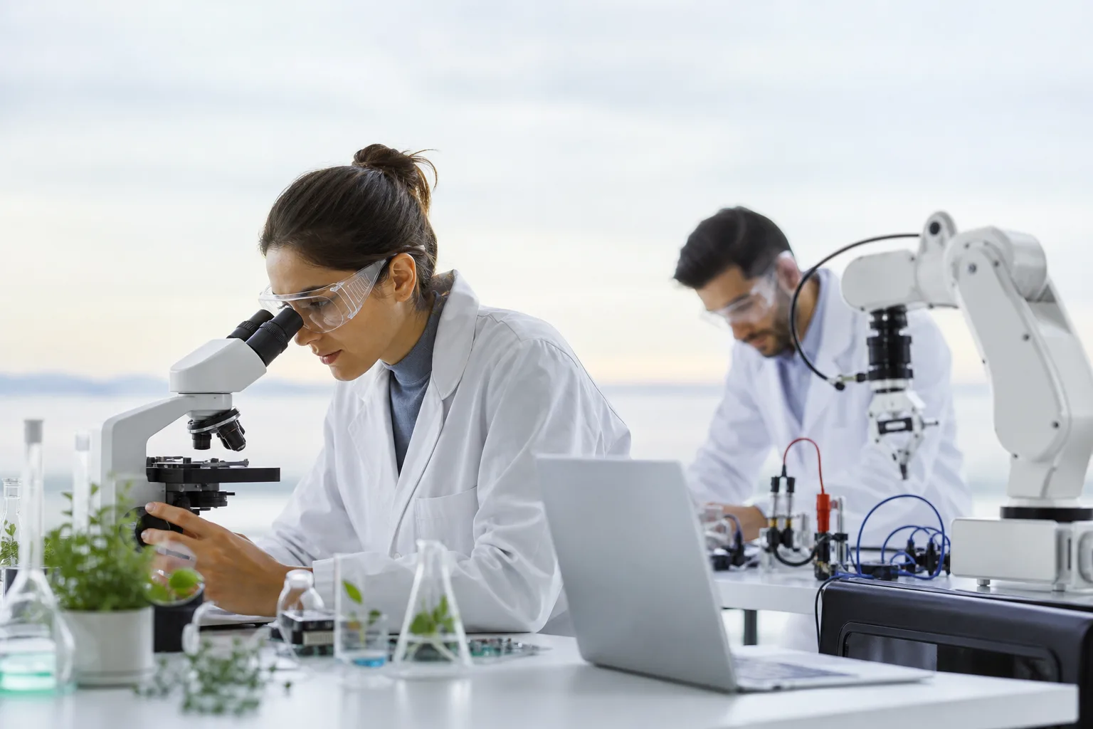 Research & Experimental Development on Natural Sciences and Engineering License in Dubai