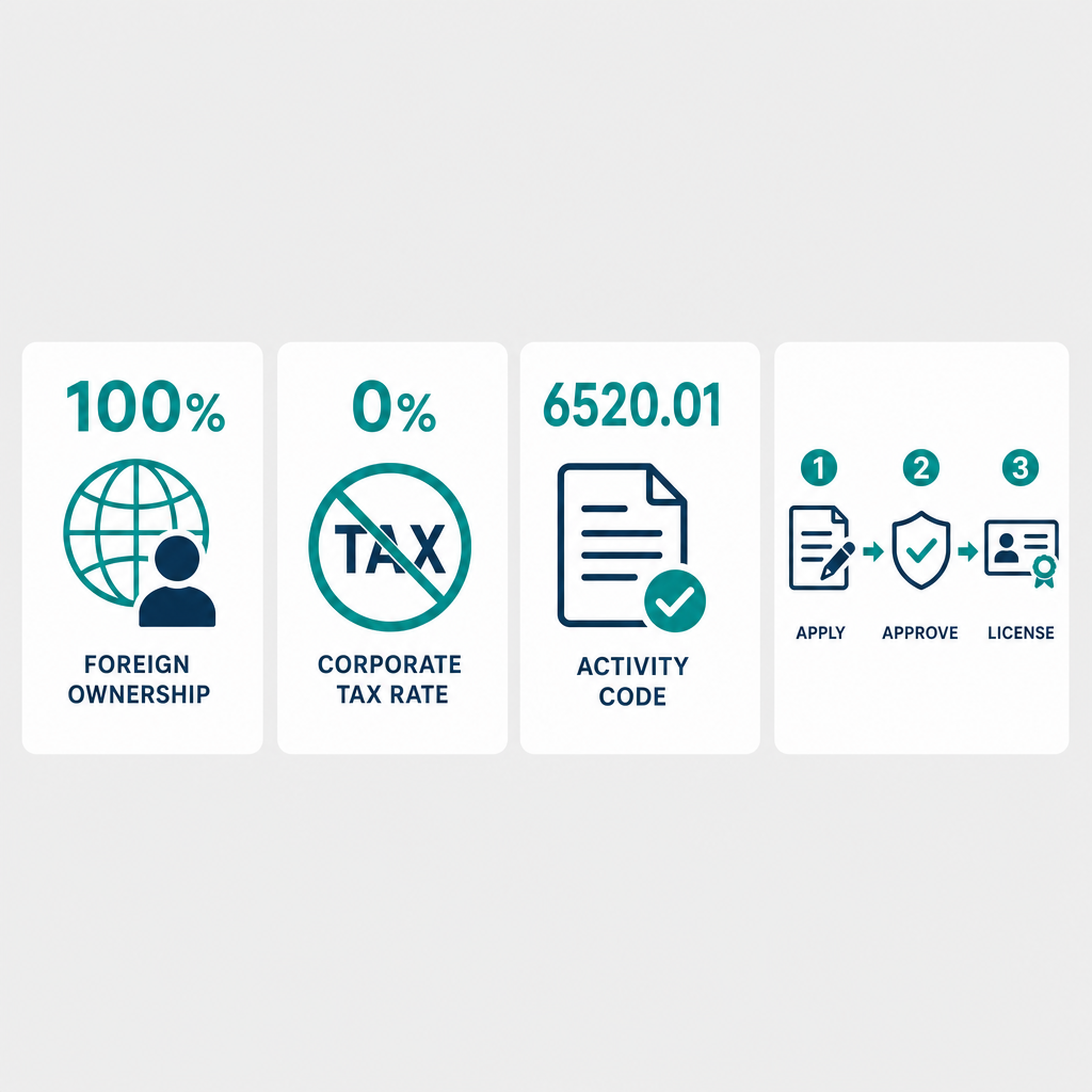 Infographic: How to Start a Assuming All Or Part Of The Risk Associated With Existing Insurance Policies Business in Dubai with Meydan Free Zone