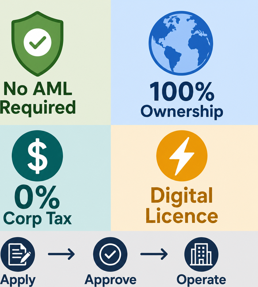 Infographic: How to Start a Investment In Health Enterprises & Development Business in Dubai with Meydan Free Zone