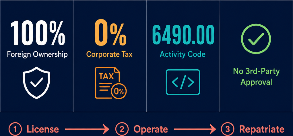 Infographic: How to Start a Other Financial Service Activities, Except Insurance And Pension Funding Activities Business in Dubai with Meydan Free Zone