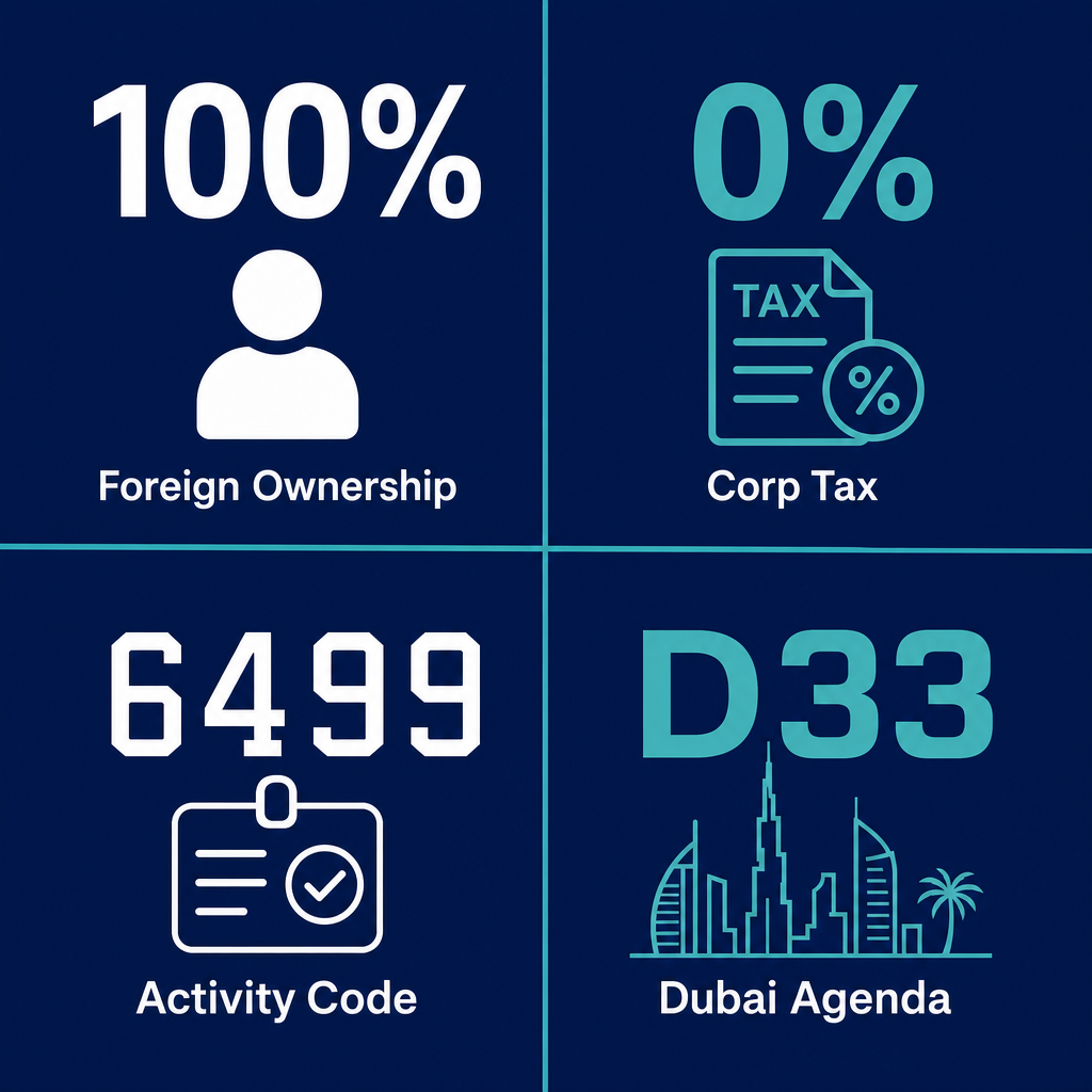 Infographic: How to Start a Other Financial Service Activities, Except Insurance And Pension Funding Activities, N.E.C. Business in Dubai with Meydan Free Zone