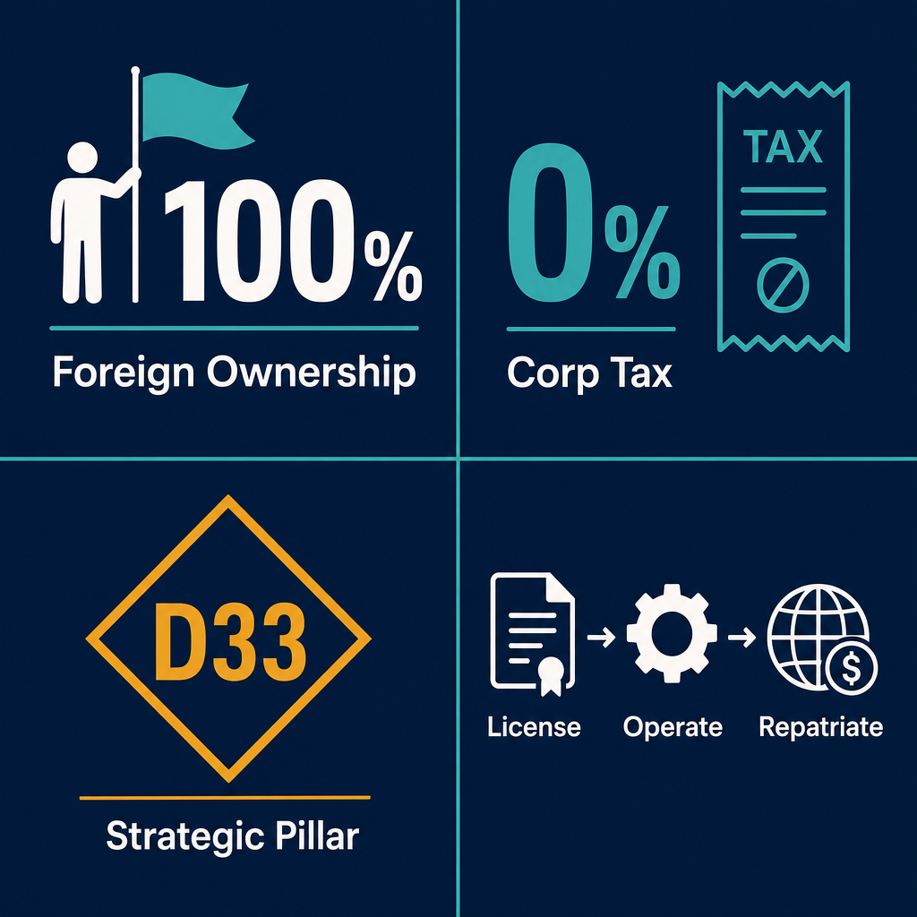 Infographic: How to Start a Own-Account Investment Activities, Such As By Venture Capital Companies, Investment Clubs Etc. Business in Dubai with Meydan Free Zone