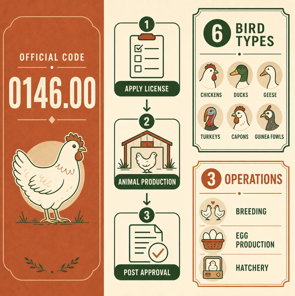 Infographic: How to Start a Poultry Farm or Raising of Poultry Business in Dubai?