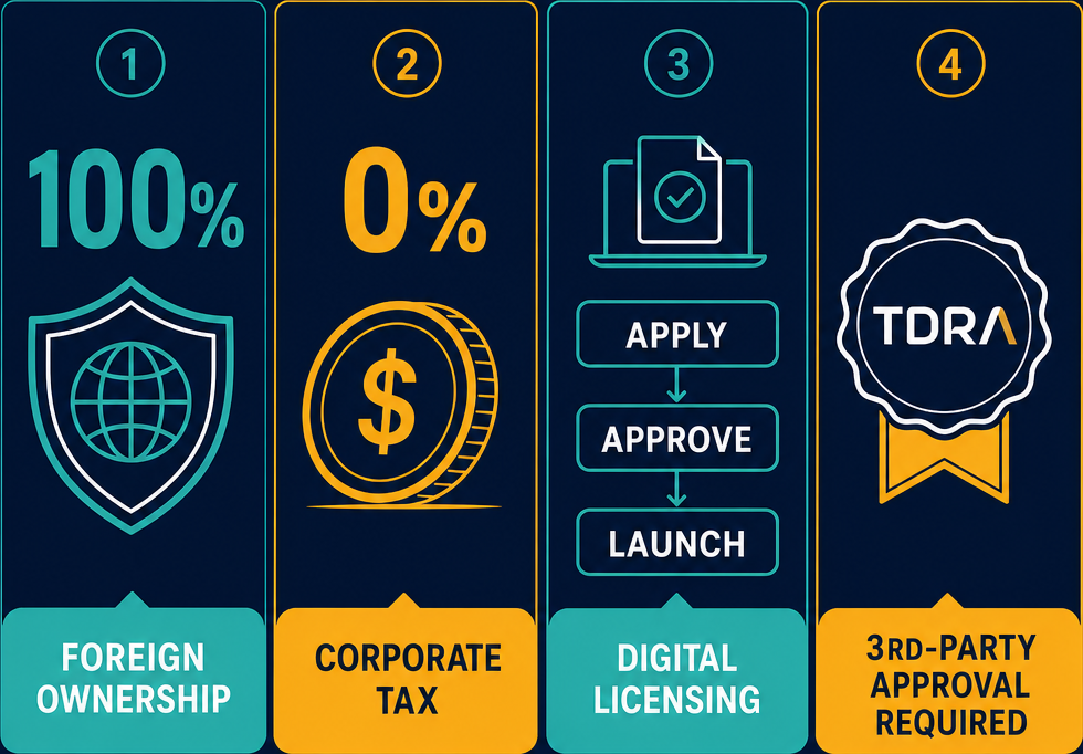 Infographic: How to Start a Provision of Internet Access by the Operator of the Wireless Infrastructure Business in Dubai with Meydan Free Zone