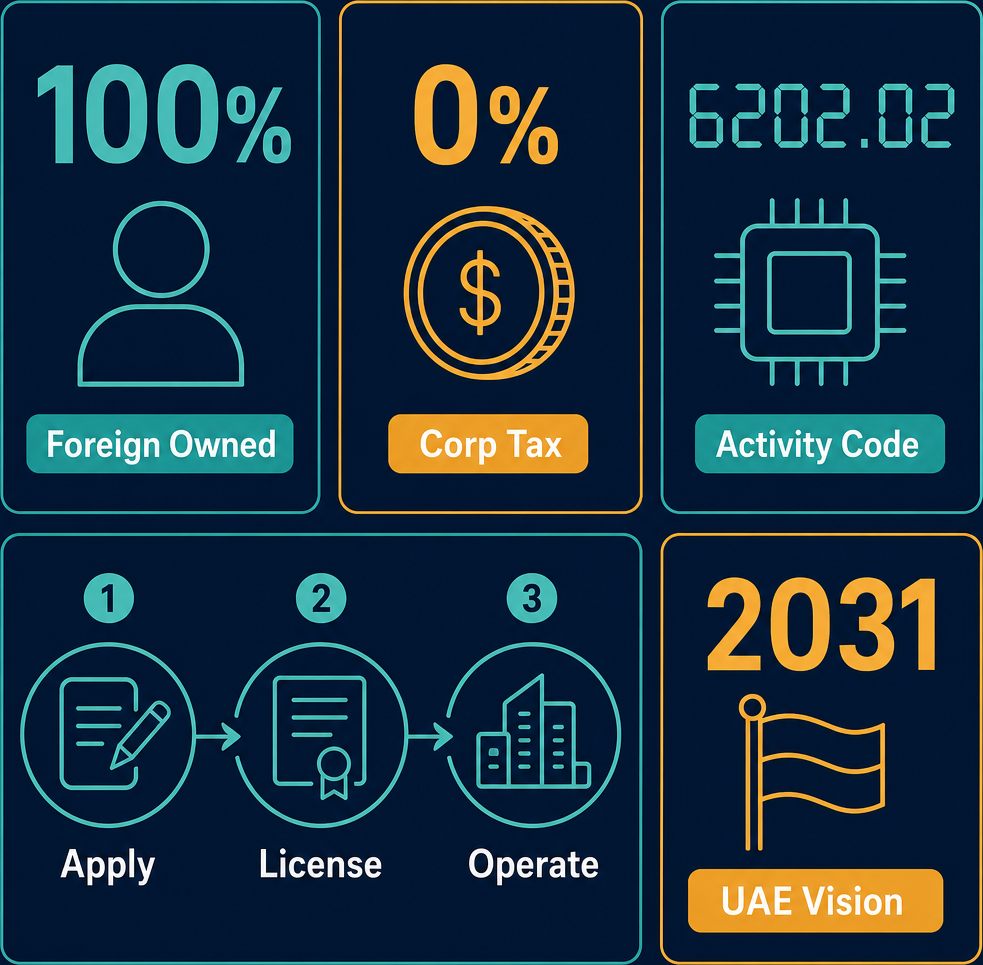 Infographic: How to Start a Provision of on-Site Management and Operation of Clients’ Computer Systems And/or Data Business in Dubai with Meydan Free Zone
