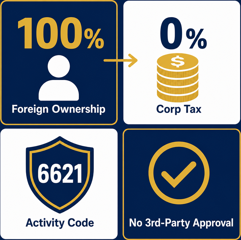 Infographic: How to Start a Risk And Damage Evaluation Business in Dubai with Meydan Free Zone