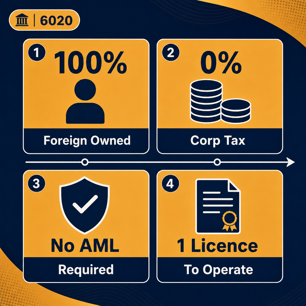 Infographic: How to Start a Television Programming and Broadcasting Activities Business in Dubai with Meydan Free Zone
