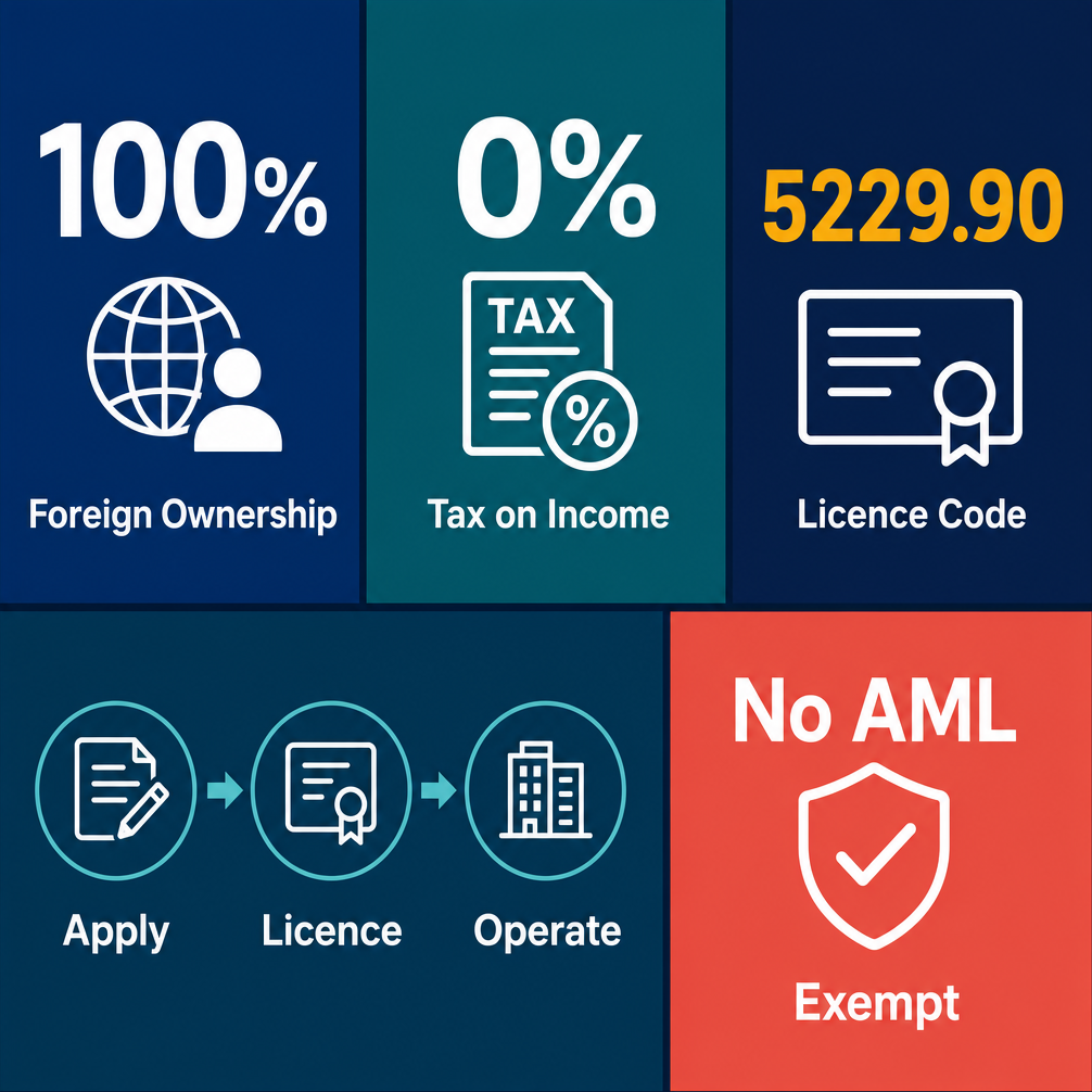 Infographic: How to Start a Transport Consultancies Business in Dubai with Meydan Free Zone