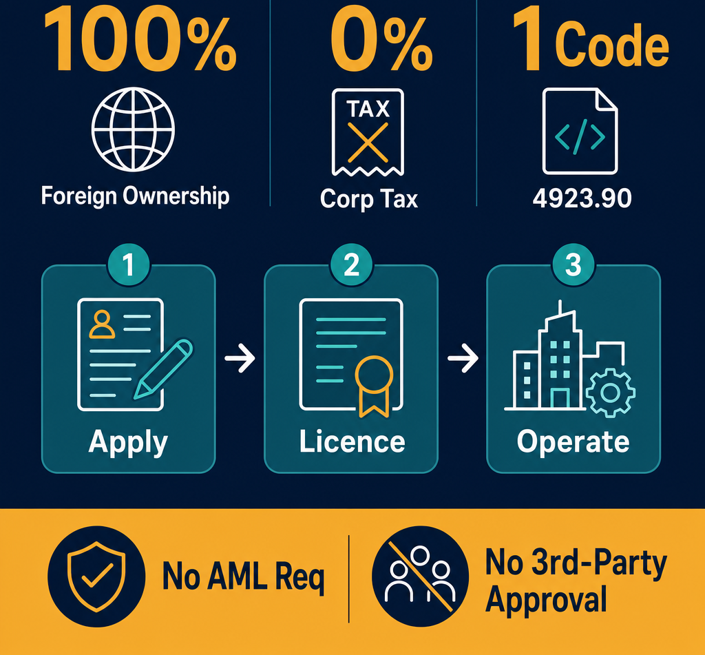Infographic: How to Start a Transport Goods by Light Trucks Business in Dubai with Meydan Free Zone