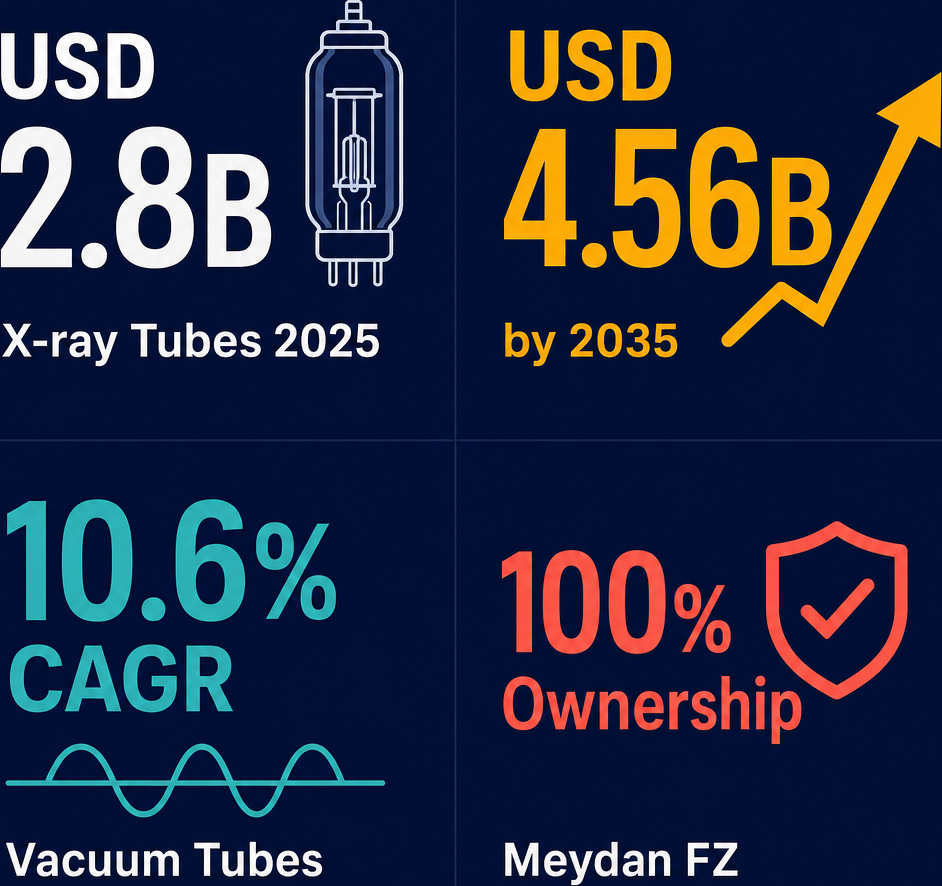 Infographic: How to Start a Wholesale Electronic Valves & Tubes Business with Meydan Free Zone