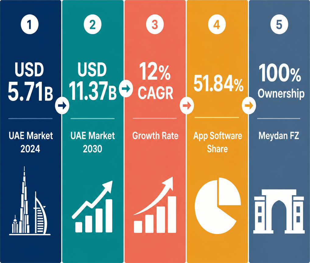 Infographic: How to Start a Wholesale Software Business with Meydan Free Zone