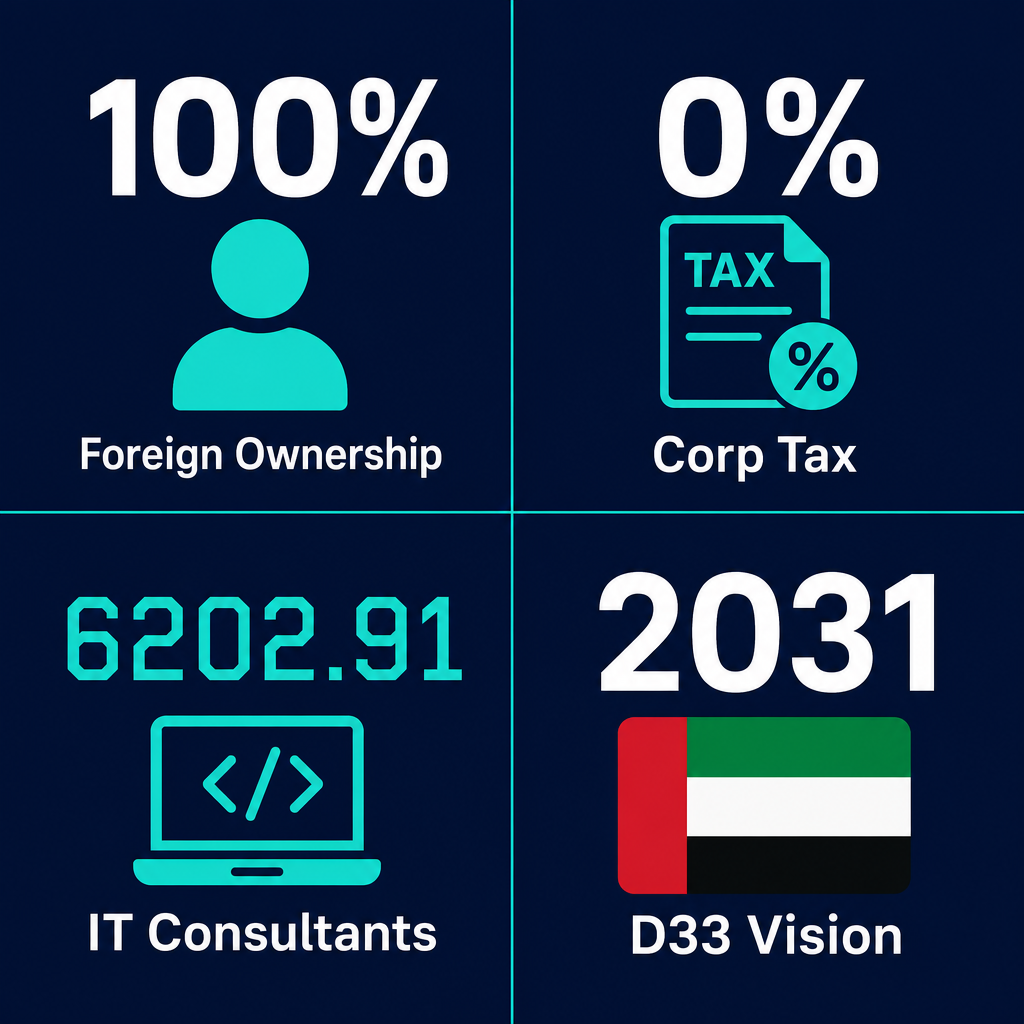 Infographic: How to Start an Information Technology Consultants Business in Dubai with Meydan Free Zone