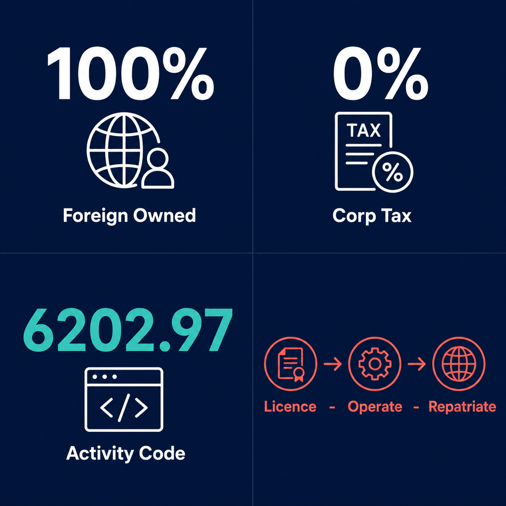 Infographic: How to Start an Internet Consultancy Business in Dubai with Meydan Free Zone