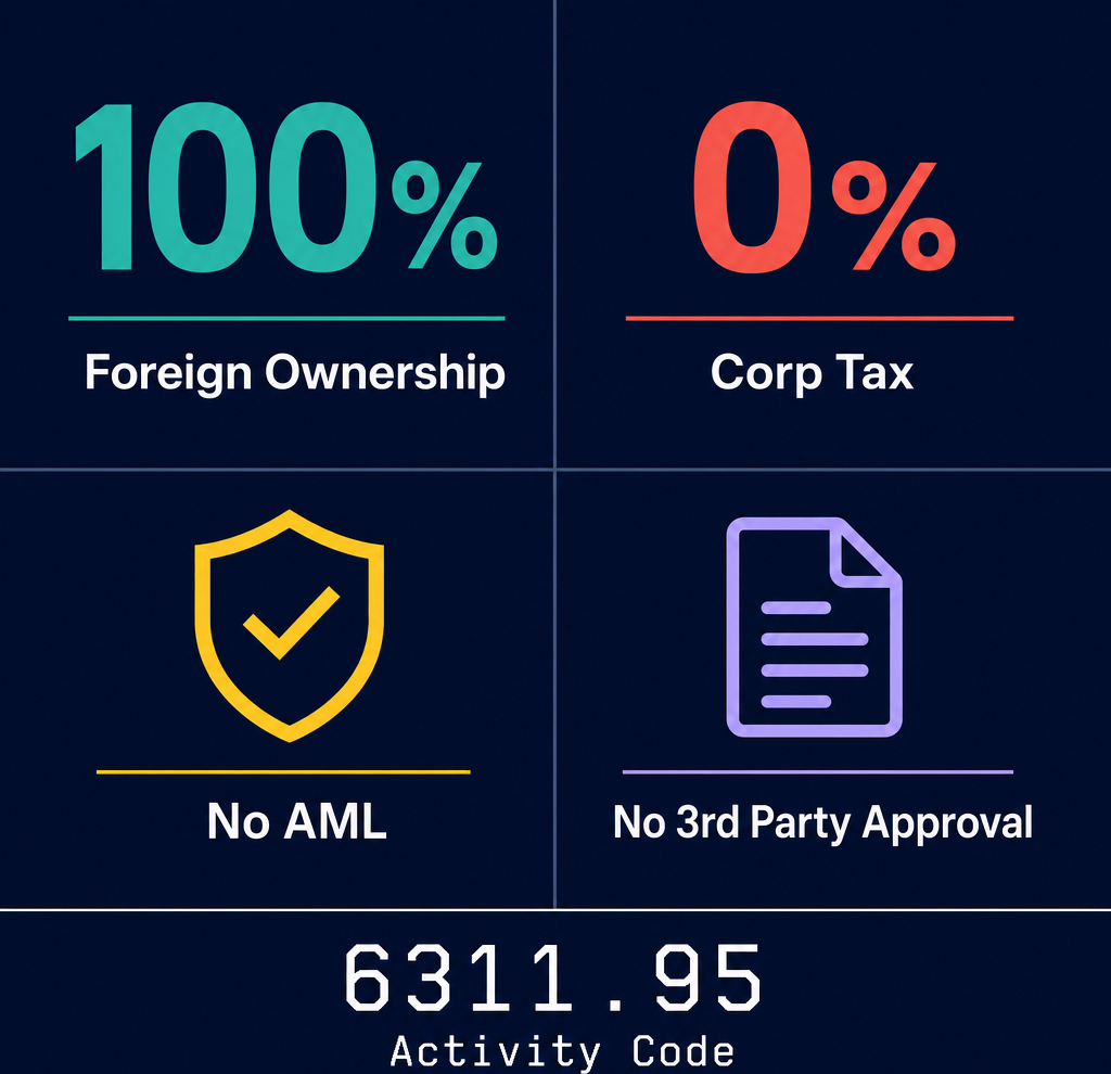 Infographic: How to Start an Internet Content Provider Business in Dubai with Meydan Free Zone