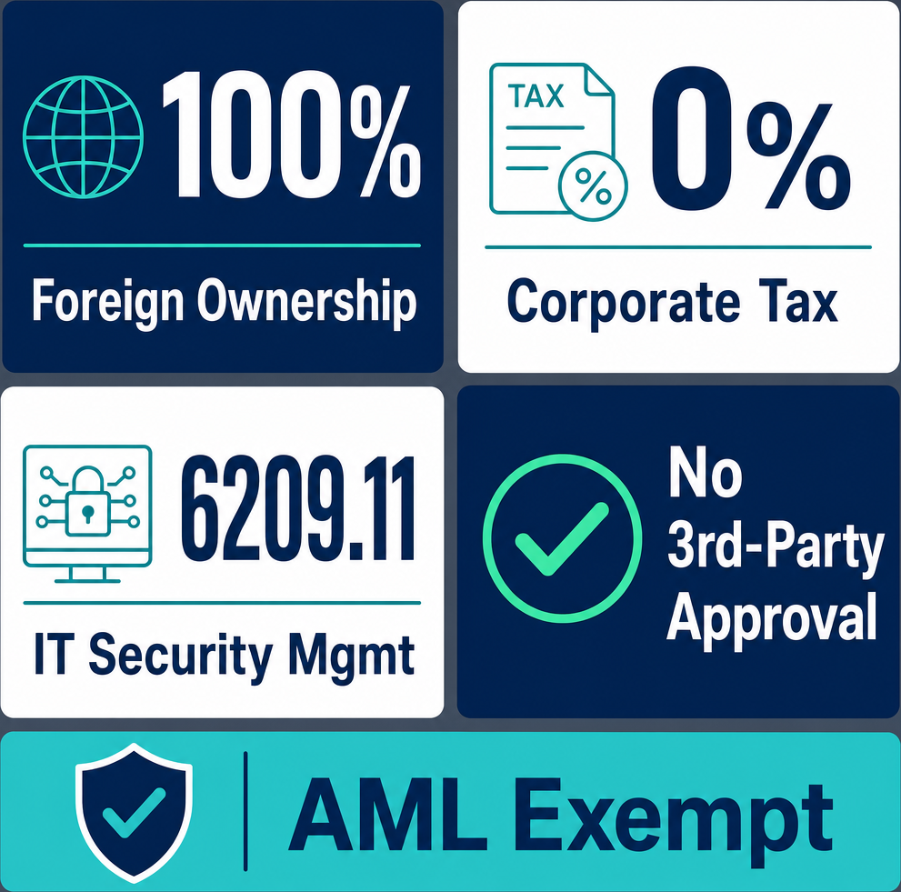 Infographic: How to Start an IT Security Management Business in Dubai with Meydan Free Zone