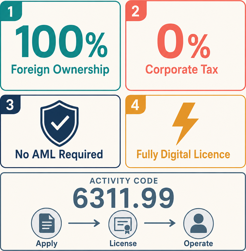 Infographic: How to Start an IT Infrastructure Business in Dubai with Meydan Free Zone