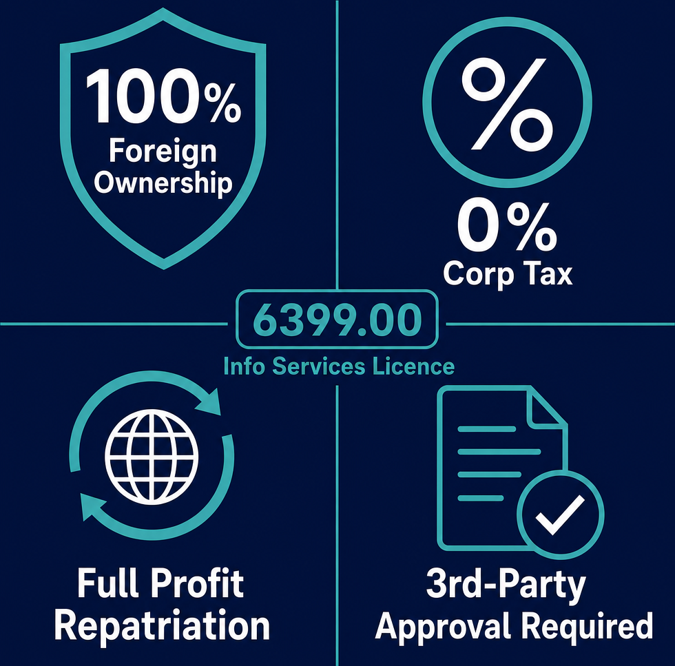 Infographic: How to Start an Other Information Service Activities N.E.C. Business in Dubai with Meydan Free Zone