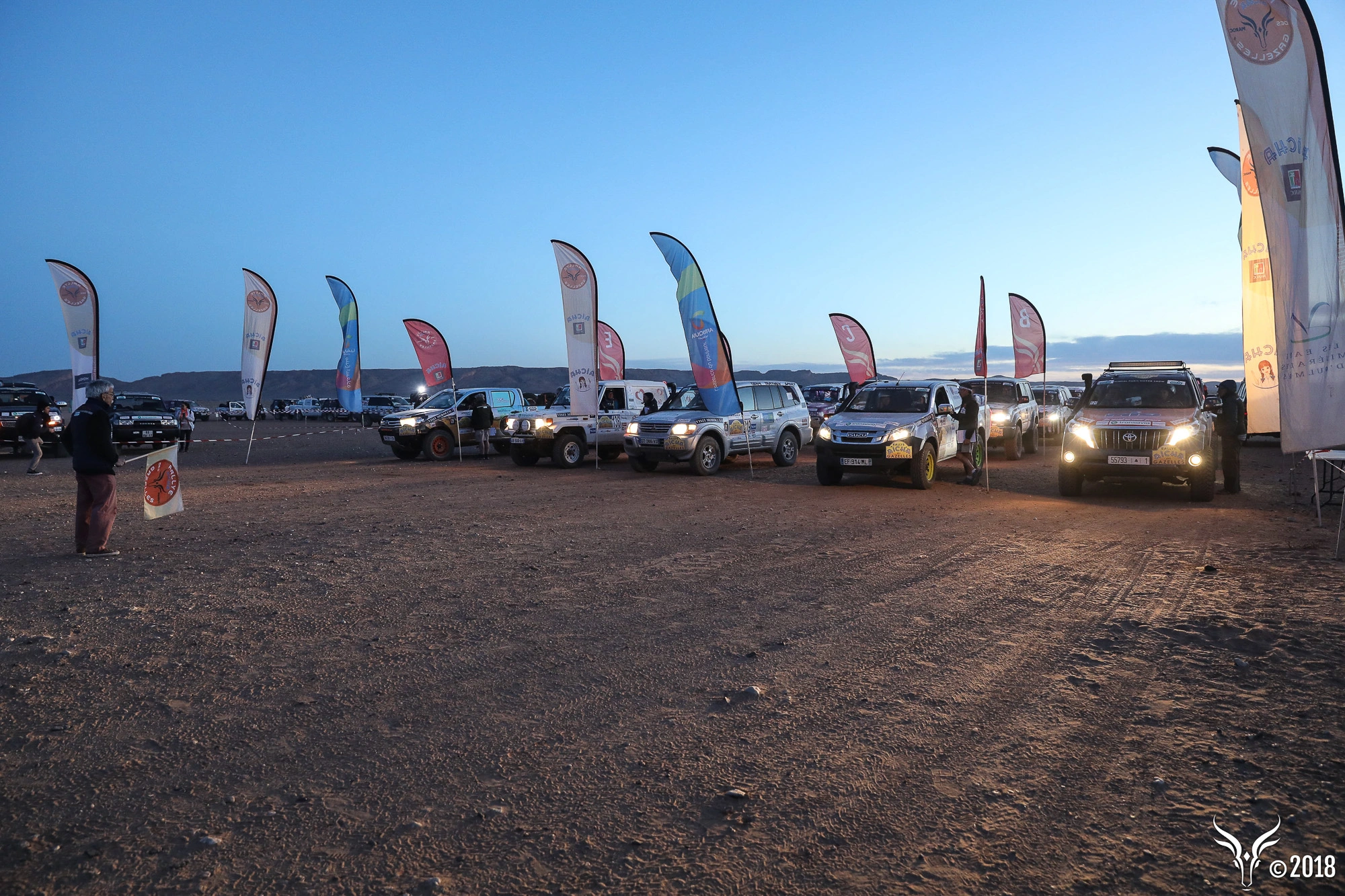 Les véhicules alignés sur la ligne de départ du rallye, à l'aube