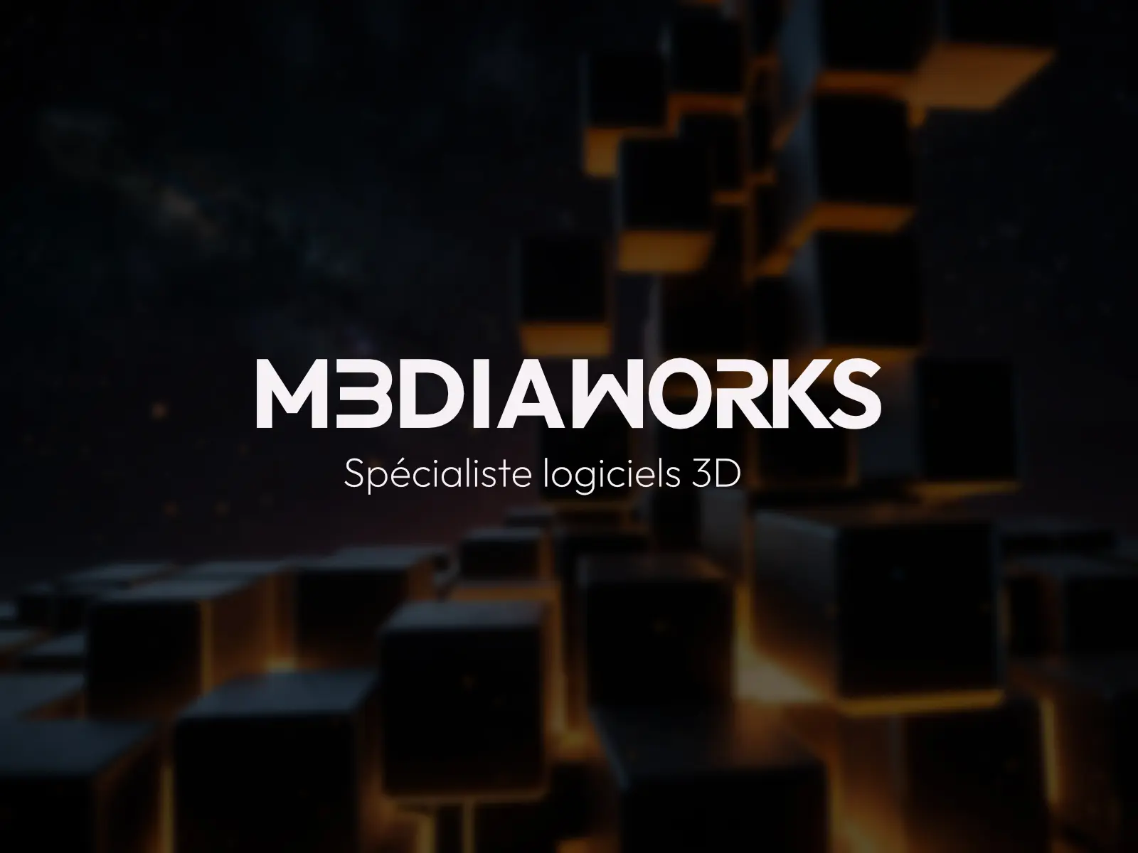 Mediaworks, spécialiste en logiciels 3D