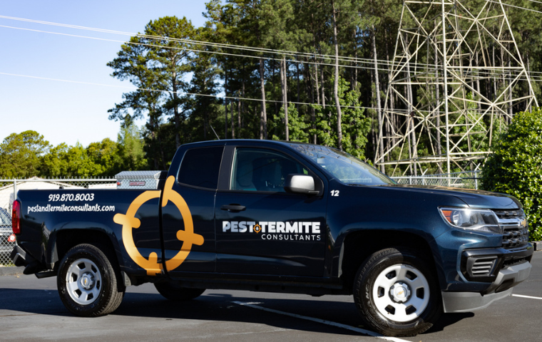 Why Raleigh Homeowners Should Never Pause Pest Control in the Fall