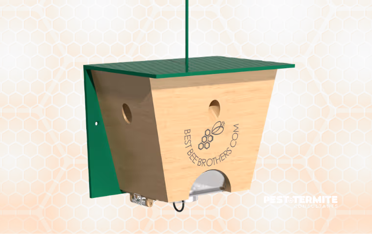 Carpenter Bee Traps Help Get Rid of Carpenter Bees in Raleigh