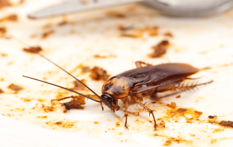 What High Humidity Does to Pest Activity Around Wilmington Homes