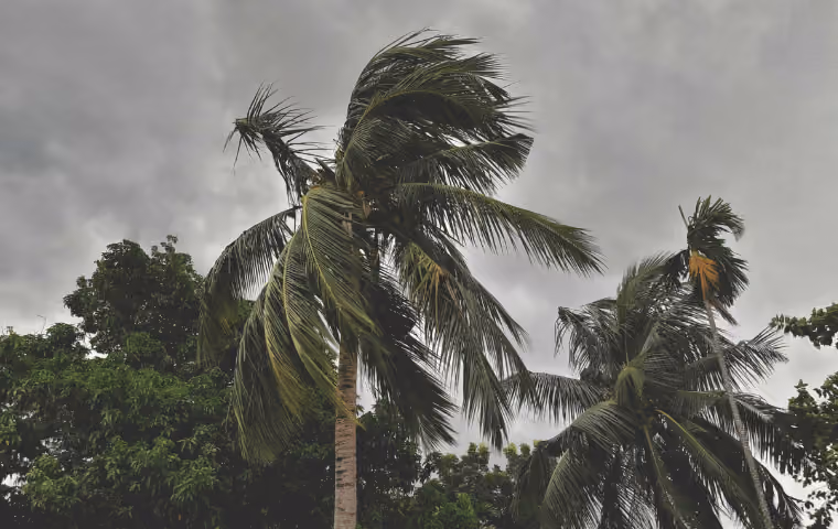 Hurricane Season Pest Prep for North Myrtle Beach Vacation Rental Owners