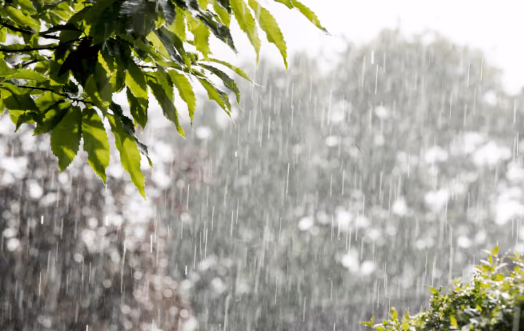 How Rain and Heat Combine to Increase Pest Activity in Coastal Carolinas
