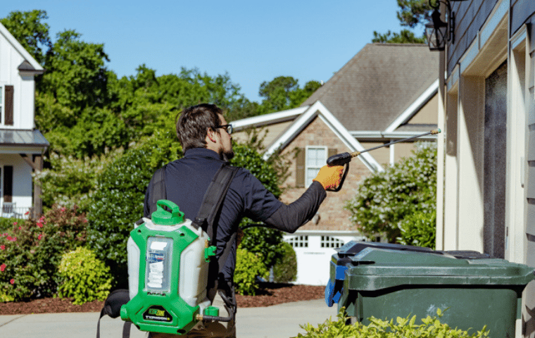 Why Late-Summer Pest Problems Are Harder to Control Around Raleigh