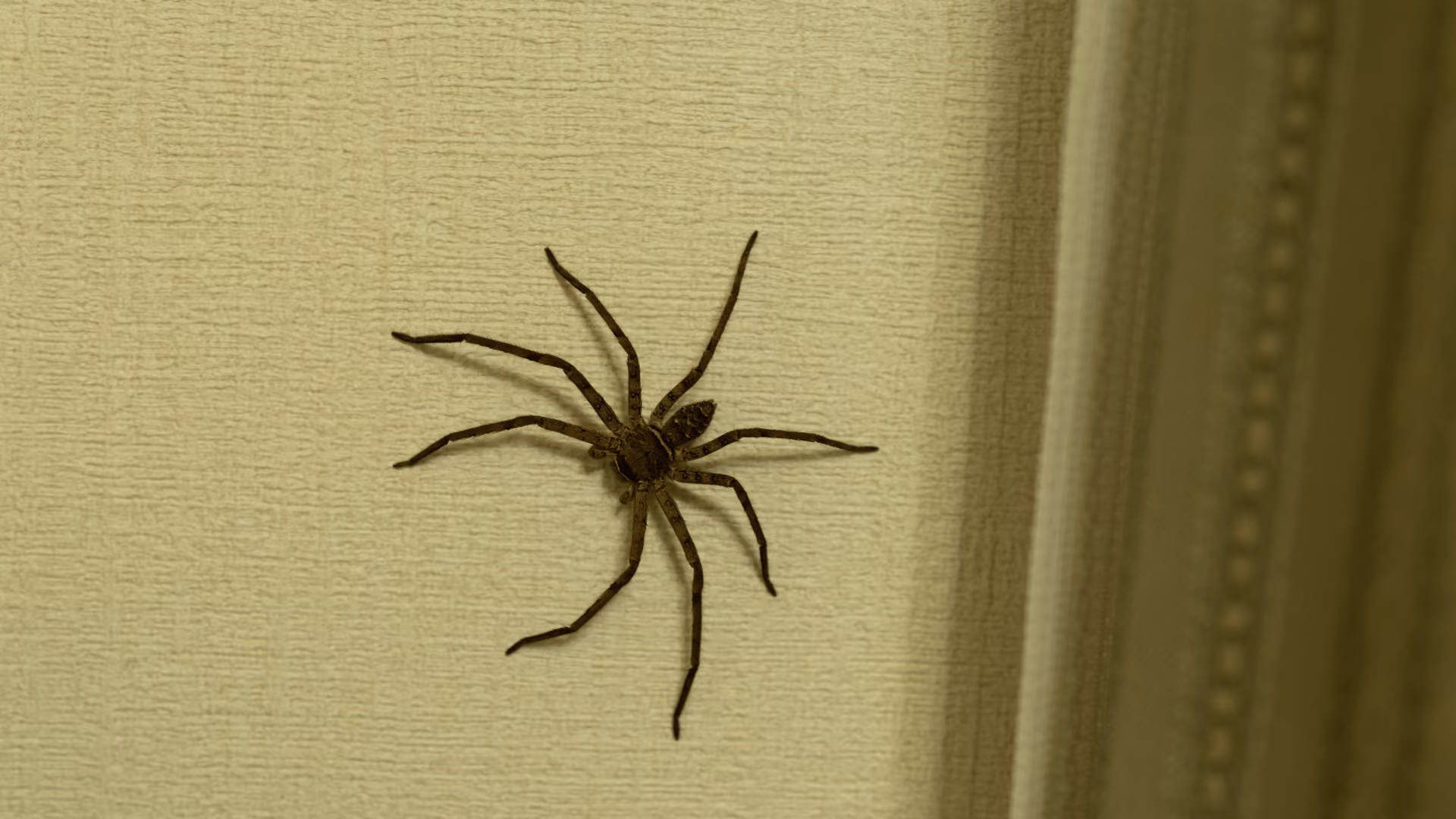 Should You Stop Pest Control in the Fall?