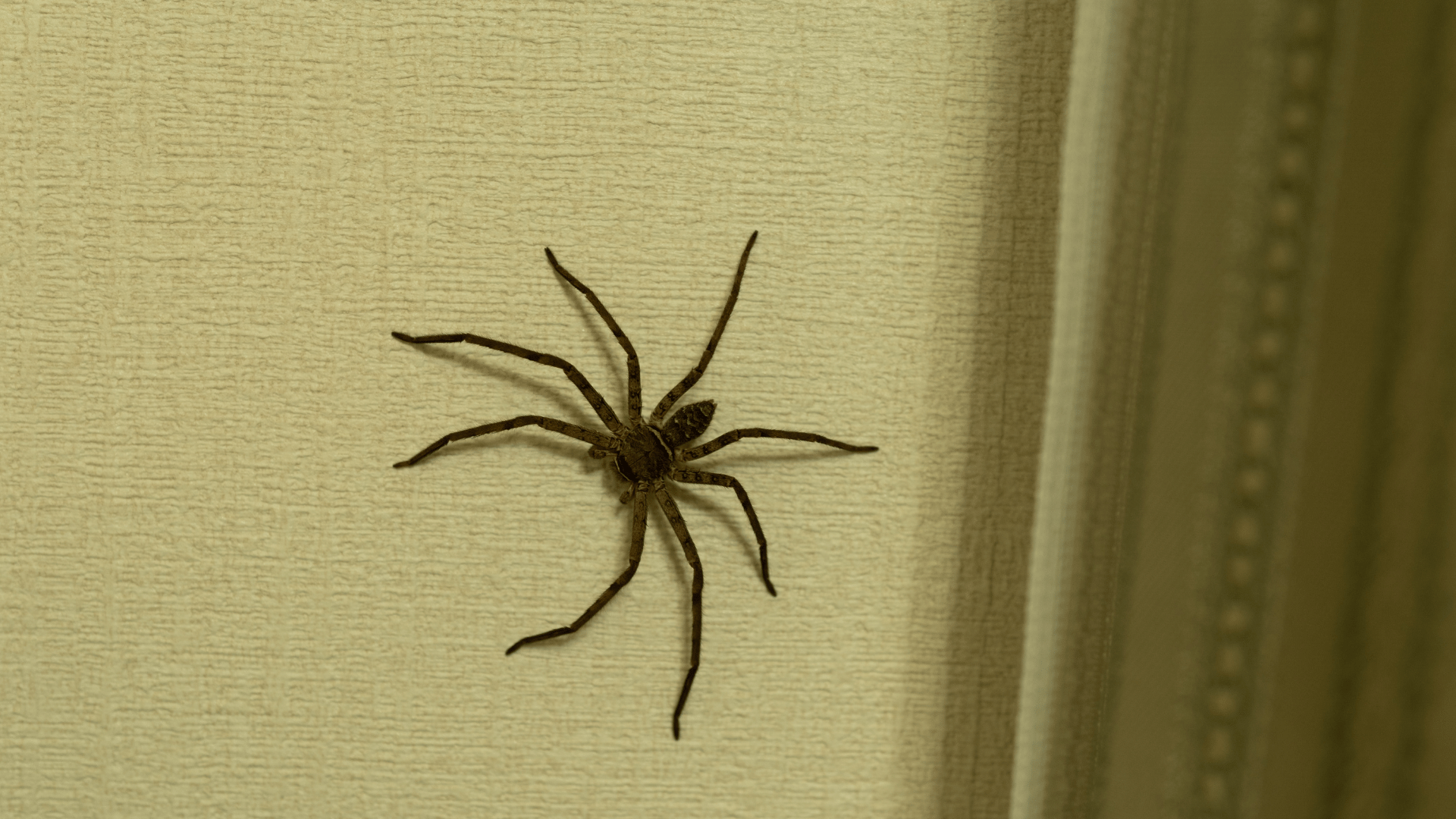 Should You Stop Pest Control in the Fall?