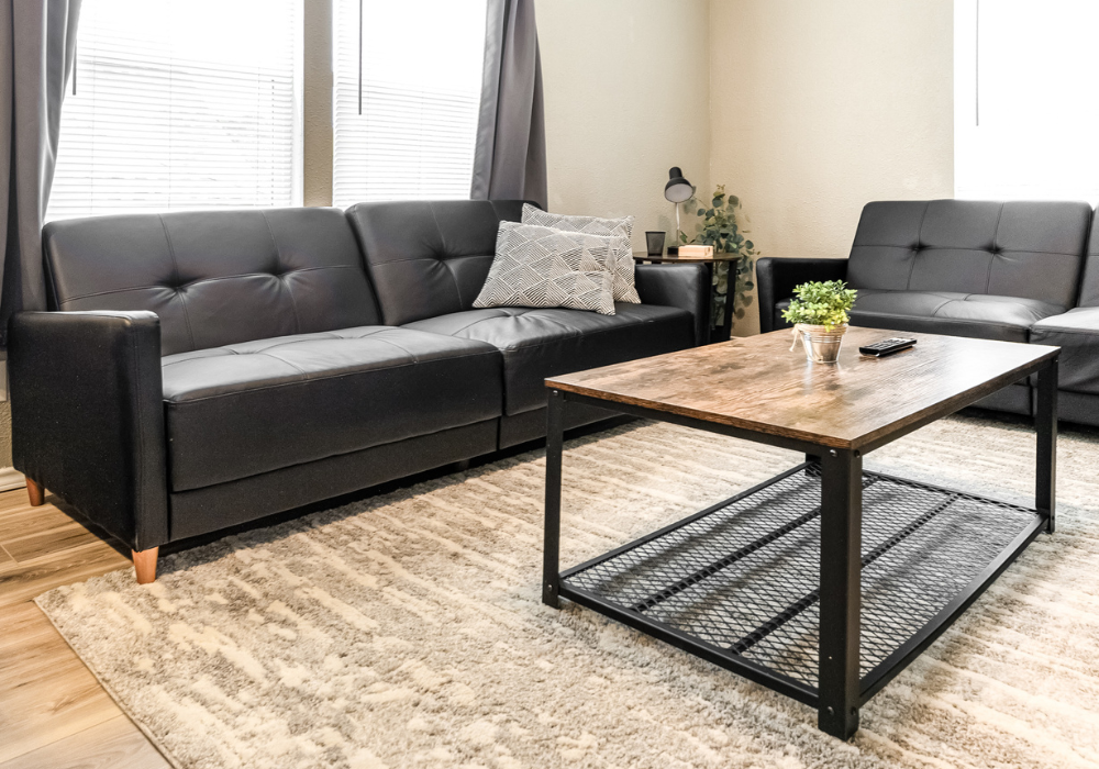 Sleek 1 Bd. Remodeled Apt. In the heart of Downtown