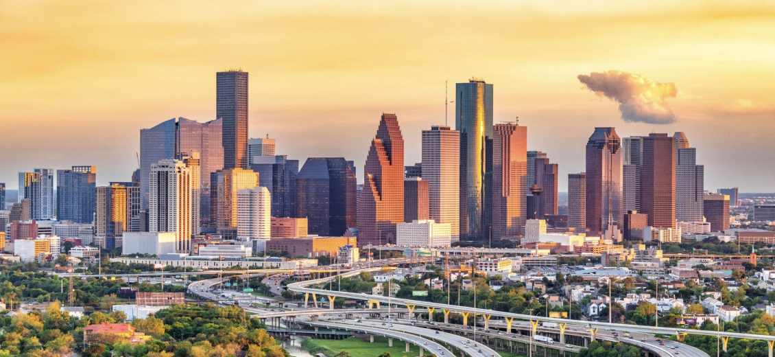 Houston Leadership Exchange - Performance Theater: We're Measuring More and Developing Less