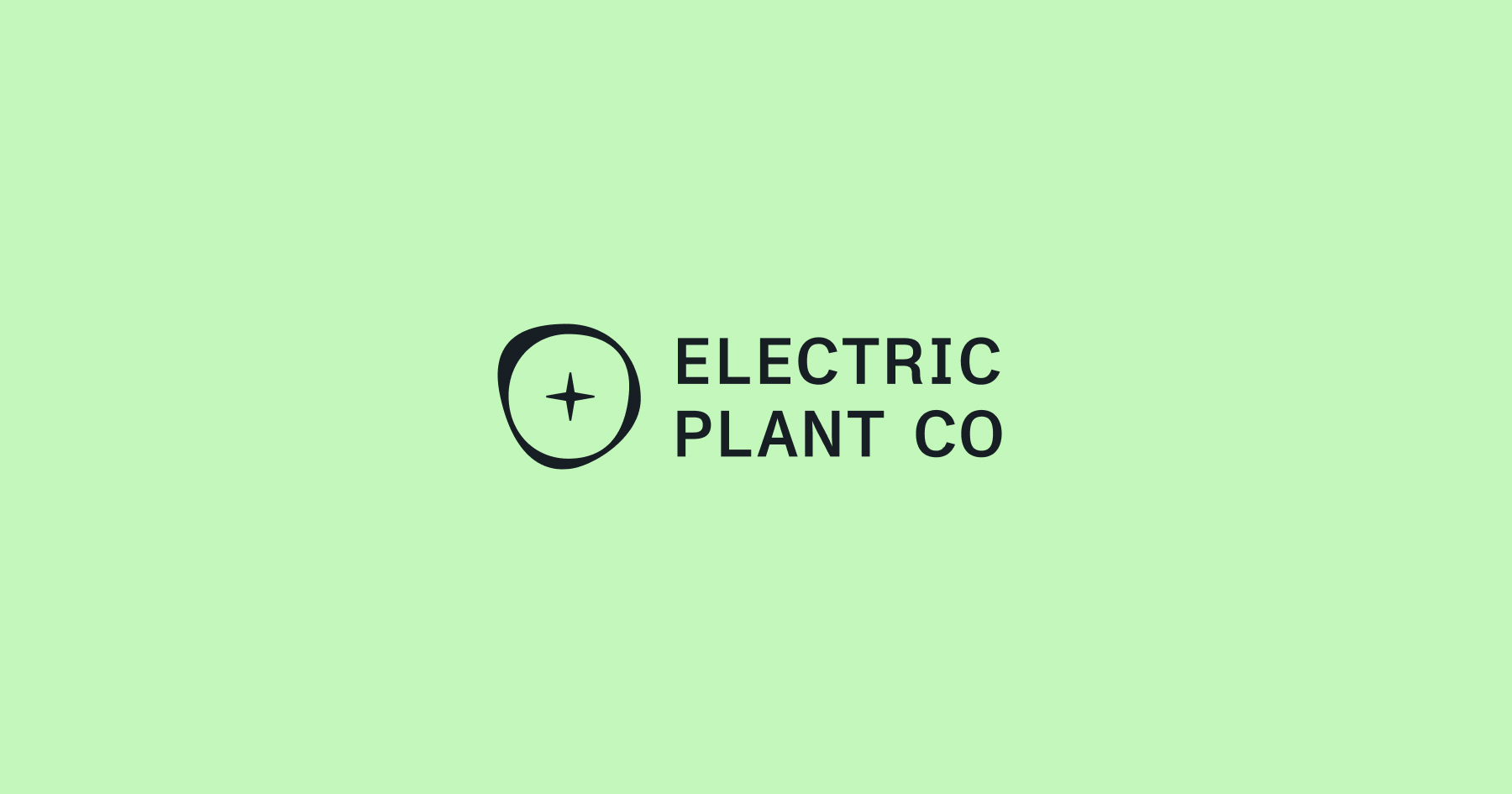 Electric Plant Company