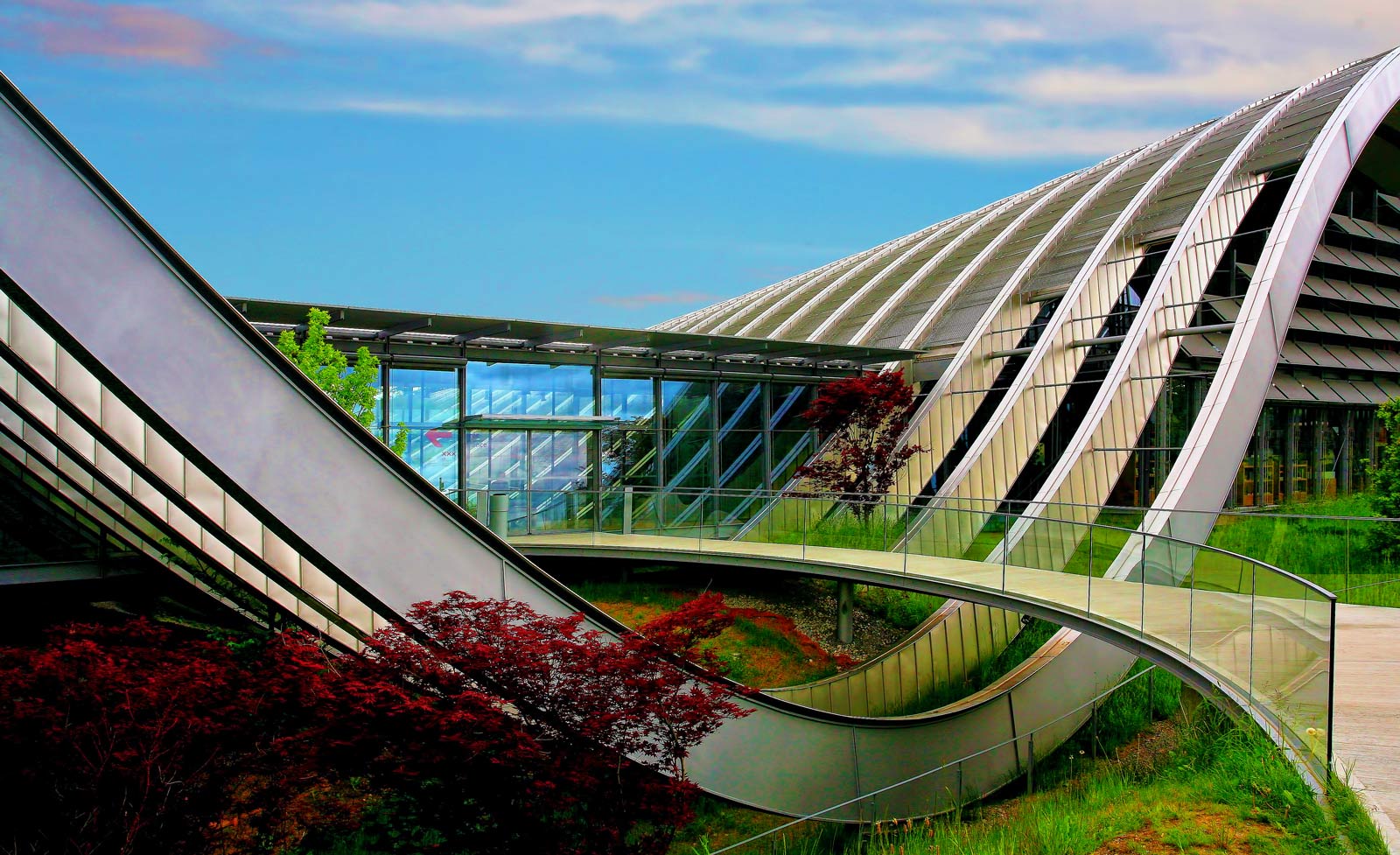 architectural photography of modern building
