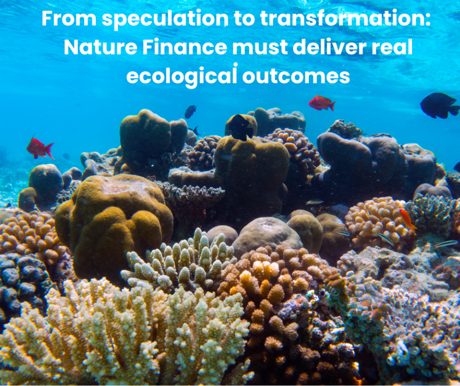 A coral reef with fish and textAI-generated content may be incorrect.