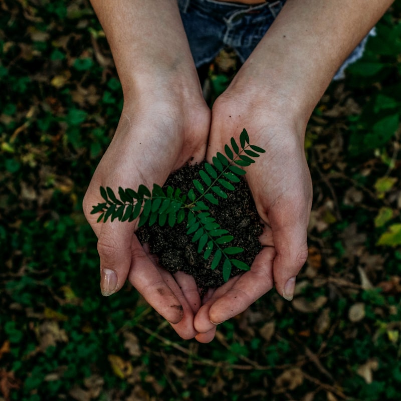 Nachhaltiges Branding Greenwashing