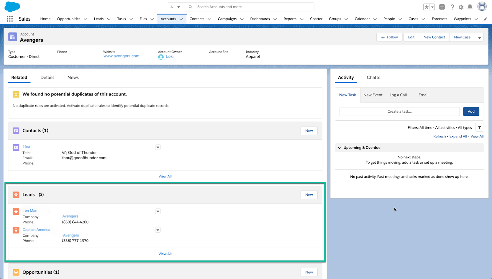 Salesforce view with lead to account matching set up