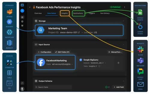 Turn Google Ads Data into Daily Decisions