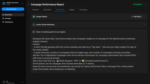Analyst defines the questions to run analysis