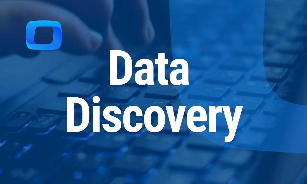 What Is Data Discovery