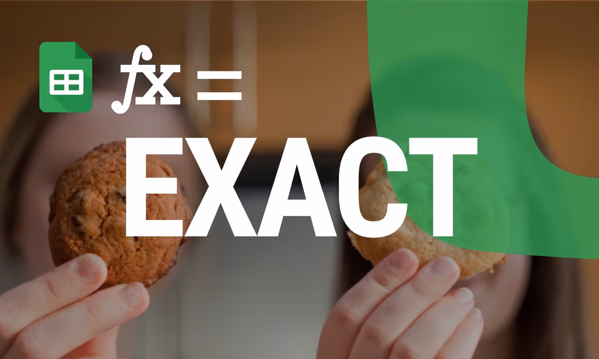 Ensuring Data Accuracy with the EXACT Function in Google Sheets