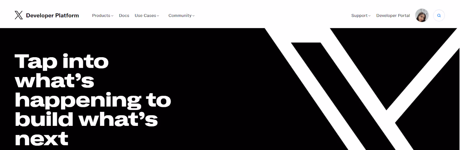 X Developer Platform homepage. i-shadow